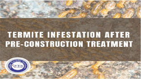 Main reasons you are facing termites even after termite pre-construction treatment